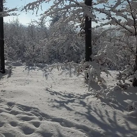 Ranczo Pod Klimoska 아파트 *