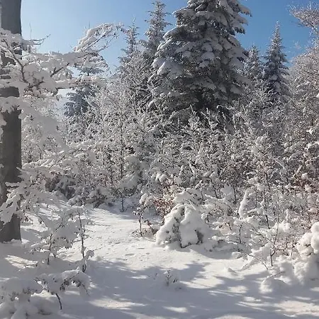 Ranczo Pod Klimoska 아파트 지키