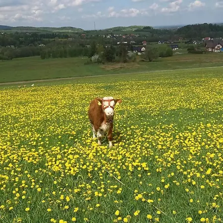 아파트 Ranczo Pod Klimoska