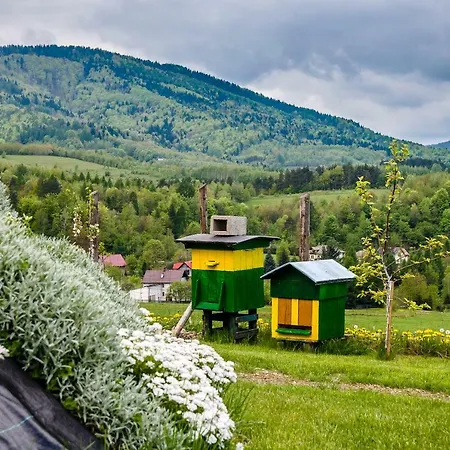 Ranczo Pod Klimoska 아파트 *