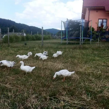 Lejlighed Ranczo Pod Klimoska